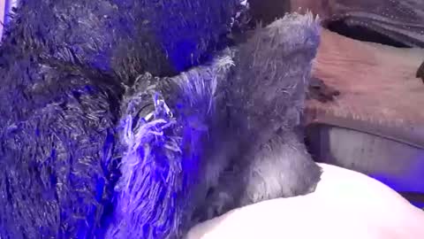 Jean pool online show from January 19, 2:10 am