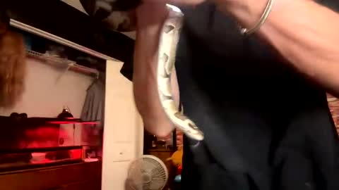 Trevorling online show from November 5, 1:46 pm