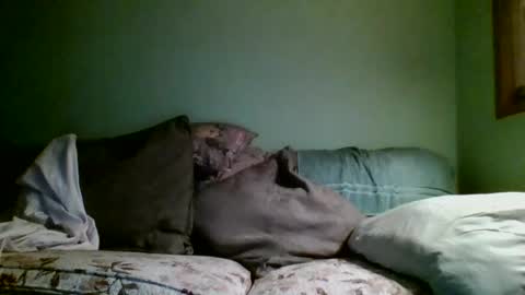 Teak online show from November 17, 1:13 pm