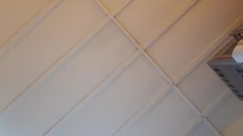 tennesseea online show from December 2, 10:19 pm