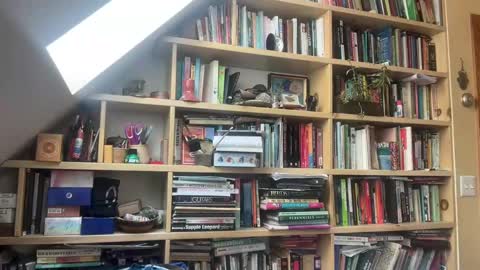 Terra Worship Findomme online show from March 3, 6:03 pm