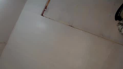 Luna online show from March 8, 3:06 am