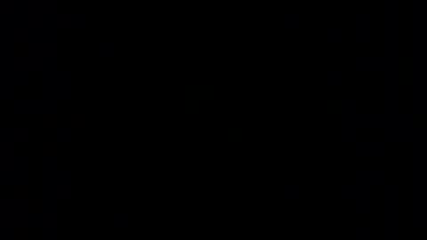 PIM online show from November 12, 12:07 pm