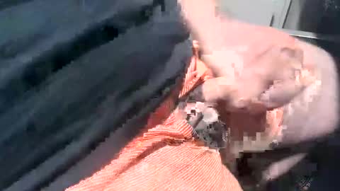 thathornierguy online show from December 30, 6:38 pm