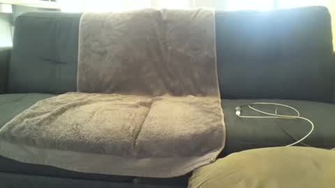 the_love_log online show from September 24, 7:26 am