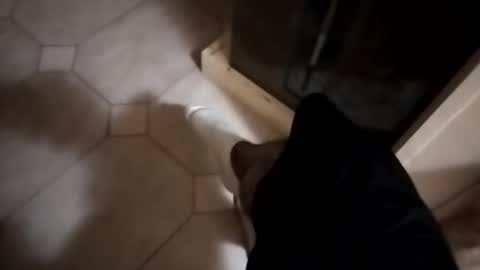 thedo121111 online show from October 2, 10:41 pm