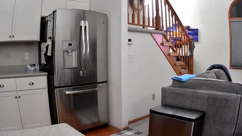 thegreat6268469 online show from September 26, 1:35 am