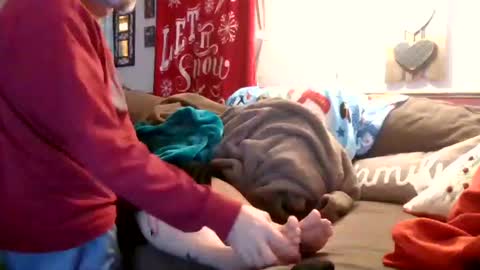 mellow online show from December 28, 12:04 am