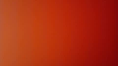 Thickmembered online show from November 29, 11:01 pm