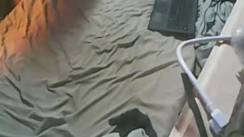 Thisguyscott online show from January 18, 1:14 am