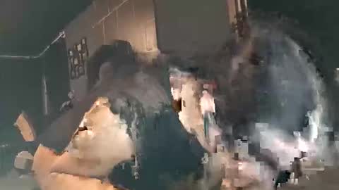 ThroapieFan online show from November 2, 8:42 pm