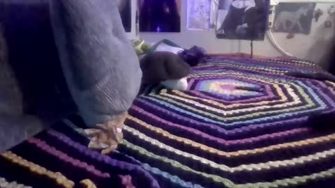 thunder8u42 online show from March 24, 11:05 am