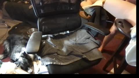 thundersword online show from March 8, 7:09 pm