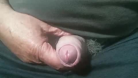 tiger1181 online show from September 13, 4:37 am