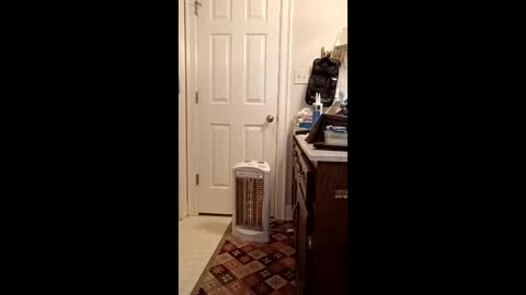 timb800000 online show from January 12, 2:02 pm