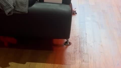 Timplaw online show from September 11, 12:17 pm