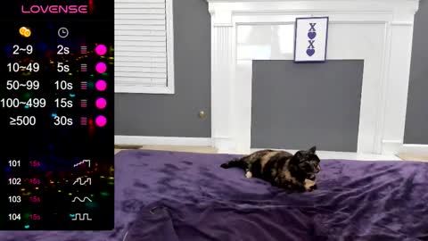 V - Read the bio please thanks. online show from January 8, 12:05 am