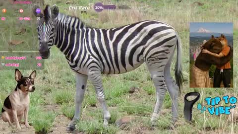 Tomaz62a online show from November 2, 12:10 am