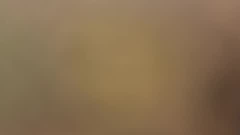 Tommy Loves Love.  If I left your room do not  DM me and say come baaaackkkk I will block you online show from February 4, 7:45 am