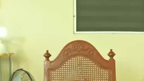 Antonio online show from March 12, 2:32 pm