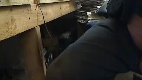 tony2700targa online show from February 2, 10:44 am