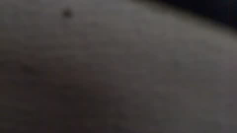 tony2700targa online show from January 13, 3:47 pm