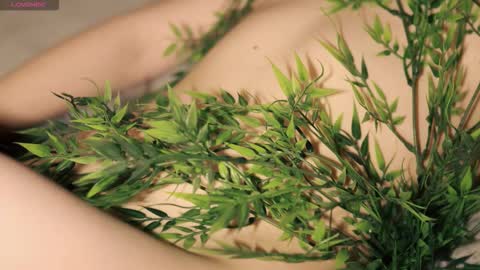 Toshi online show from December 21, 1:06 pm