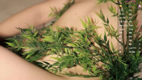 Toshi online show from March 15, 1:03 pm