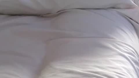 Jim online show from January 31, 5:21 pm