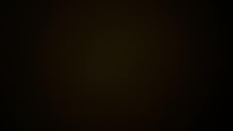 toxicted4 online show from December 19, 2:02 pm