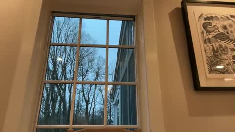 treborinthesky online show from February 2, 9:56 pm