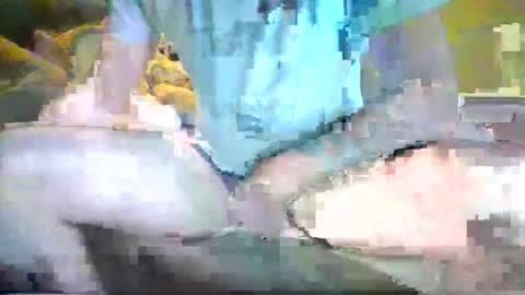 tree33007 online show from November 2, 4:12 am