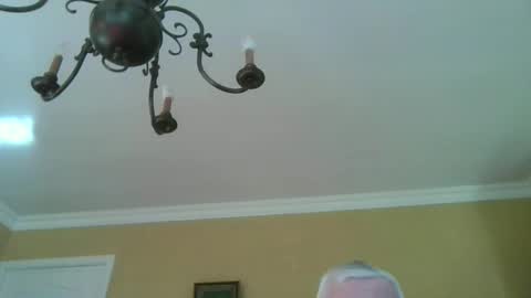 trekbeestje online show from March 5, 9:29 am