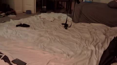 trickquestion online show from February 23, 8:49 am