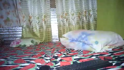 Mae online show from February 26, 12:30 am