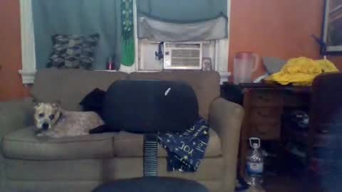 Turnmetrans online show from December 4, 5:43 am