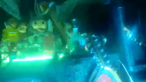 Snapshot of twe4kseeker chatting on October 20, 4:17 am twe4kseeker online show from October 20, 4:17 am