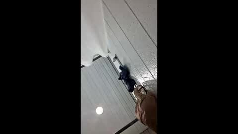 Matt online show from April 22, 2:52 am