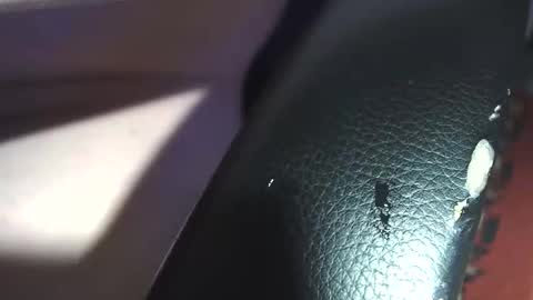 ungcouple21 online show from December 6, 7:15 am