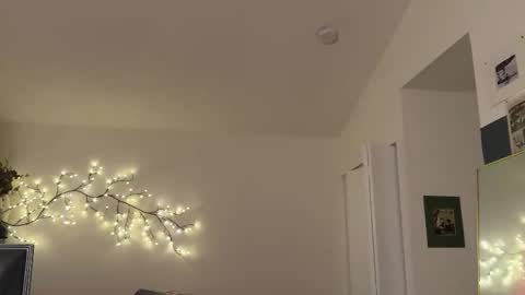 wang online show from February 7, 2:14 am