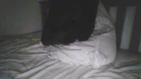 Snapshot of varghese28 chatting on September 18, 10:08 am kerala mallu boy online show from September 18, 10:08 am