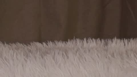 vedatroe online show from February 21, 6:27 am