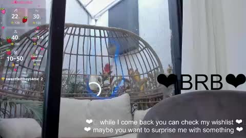 VENUS online show from November 25, 12:26 pm