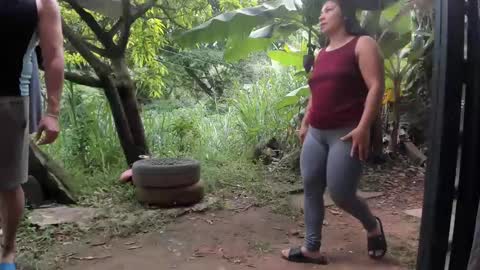 venus ... zeus sheer  online show from December 5, 5:33 pm