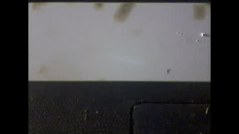 Im DanielVerdo  25 years old Lets have Fun and just ask what wanne know   tnew anal bigock cum  slave  fullnaked online show from March 1, 6:35 am