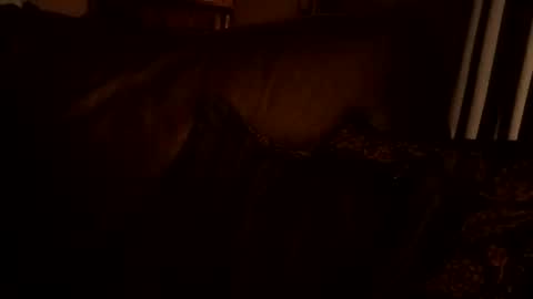 ZABiCpl online show from January 7, 2:16 am