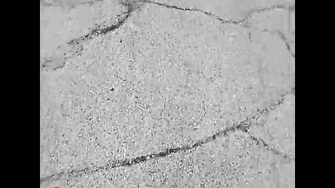 viciouzz1 online show from November 24, 7:01 pm