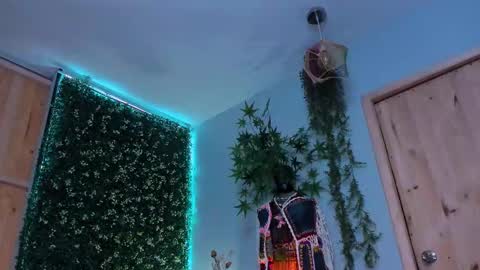 Victoria   online show from March 13, 5:27 pm