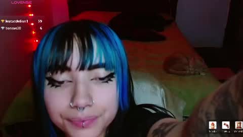 victoria online show from July 17, 5:42 am