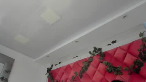 Snapshot of victoriawills_ chatting on March 12, 11:44 pm ADRIANA online show from March 12, 11:44 pm